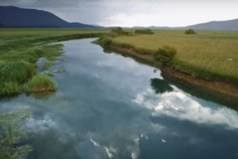 Bnpp Am e Cdp valutano impatto attività produttive su biodiversità