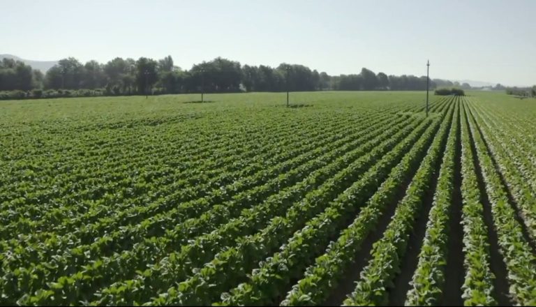 Il rilancio dell’Italia passa dalle filiere integrate