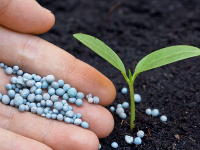 Imprese del comparto fertilizzanti investono nella sostenibilità