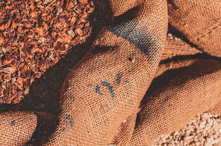 Mangimi, Assalzoo “Dagli stabilimenti basso impatto ambientale”