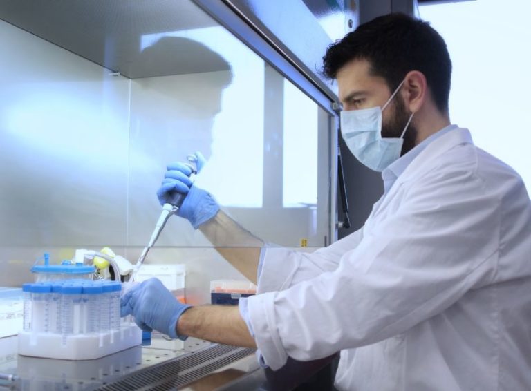 Un passo avanti per la creazione di un modello artificiale di pancreas