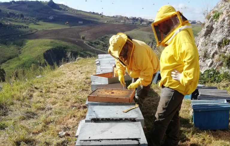 La cultura del dono ad Agrigento e Trapani