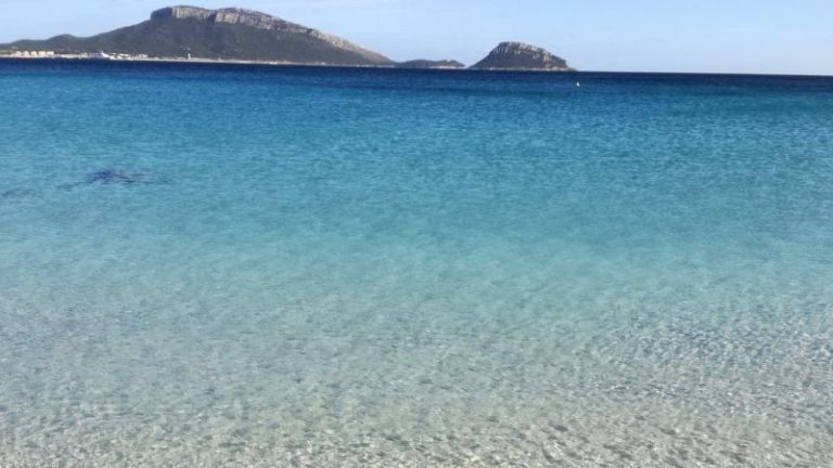 Worldrise & VOIhotels insieme per il mare