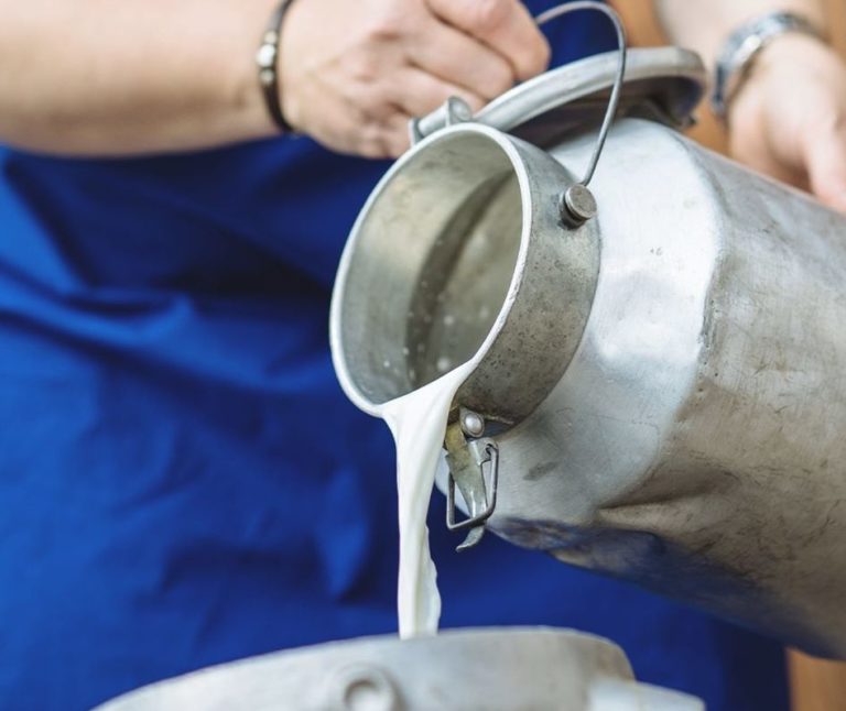 World Milk Day, dal latte buona parte dei nutrimenti per la salute