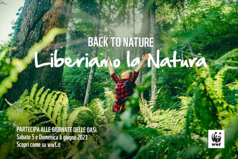 Centri di recupero degli animali selvatici ospedali della biodiversità