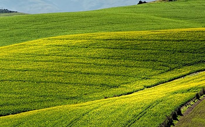 Agricoltura, Zannier “Al via bando per acquisto macchinari in Friuli”