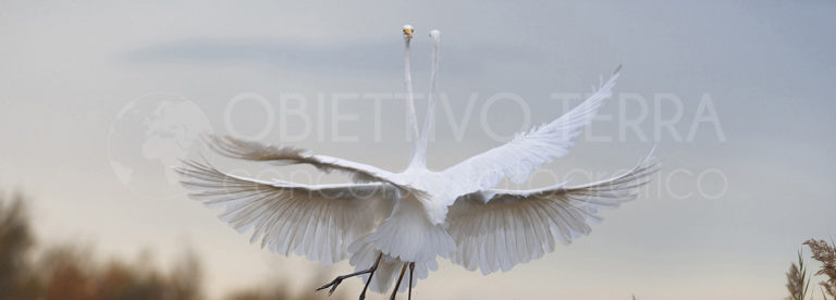Al via la 13^ edizione di “Obiettivo Terra”