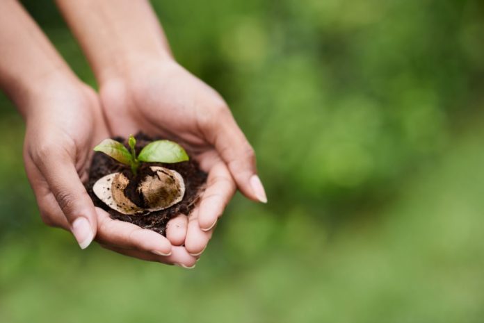 Caring for the future