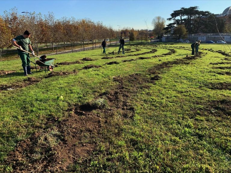 Gruppo Cap con Forestami verso l’obiettivo di Carbon Neutrality