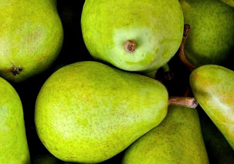 In Emilia Romagna al via programma di rilancio della pera Igp