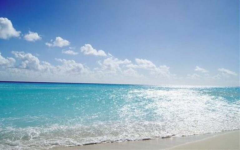 Woa, gli esperti “La salute degli oceani non migliora”