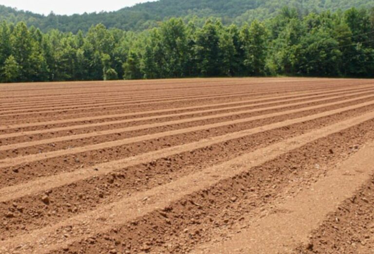 Agronomi liberi professionisti, Epap vince davanti al Tar Lazio contro Agea