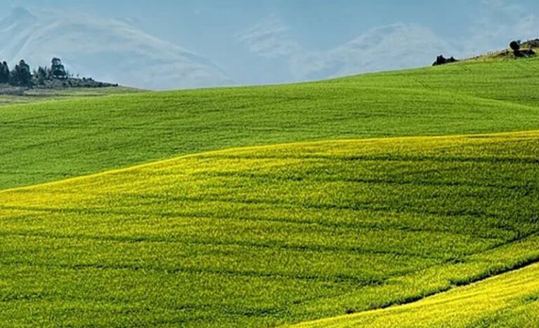 Pac, Giansanti “Testo migliorato, ma ci saremmo aspettati di più”