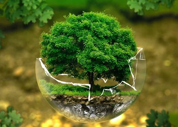 Bioeconomia in Italia vale 317 miliardi e ha 2 milioni di occupati