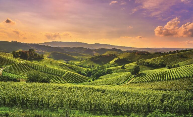 Agricoltura, per il censimento generale proroga al 30 luglio