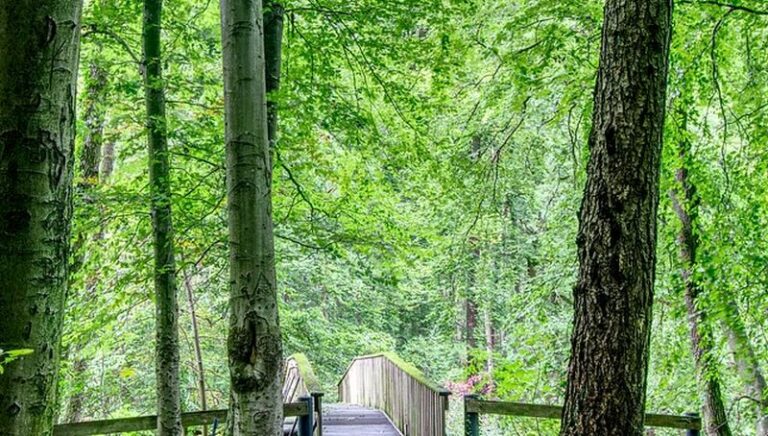 Transizione verde, ok documento strategico 2021-2027 in Emilia Romagna