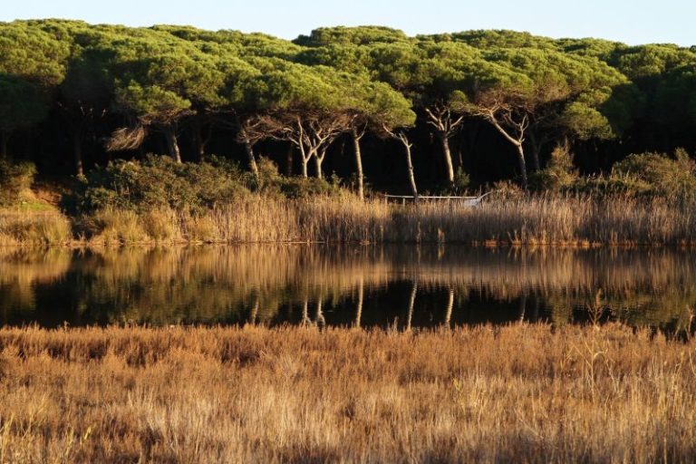 Allianz, video-racconto su Oasi di San Felice