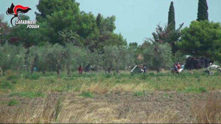 Blitz contro il Caporalato a Foggia e Campobasso