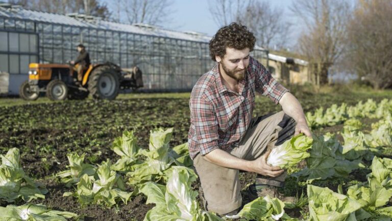 Un progetto per offrire lavoro ai giovani detenuti