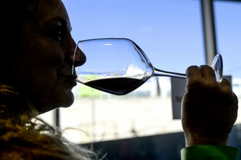 Tim-Federvini, accordo per l’innovazione nel settore vinicolo