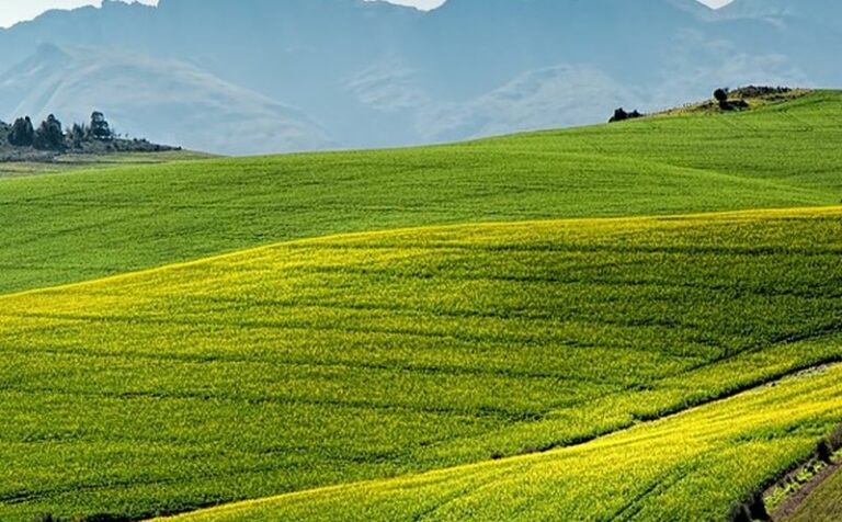 Toscana, Saccardi “Trasferire innovazione al comparto agricolo”