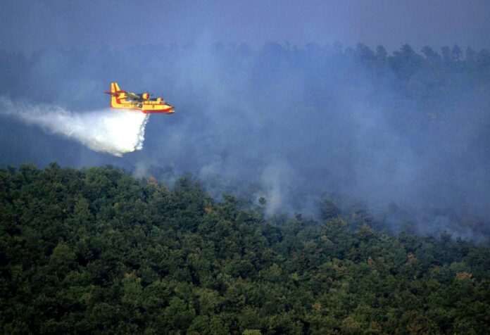 INCENDIO INCENDI BOSCO ALBERI CANADAIR ESTINZIONE SPEGNIMENTO
