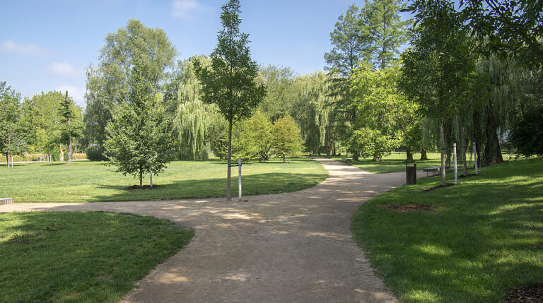 Emilia Romagna, “foreste” urbane per 37 Comuni di pianura