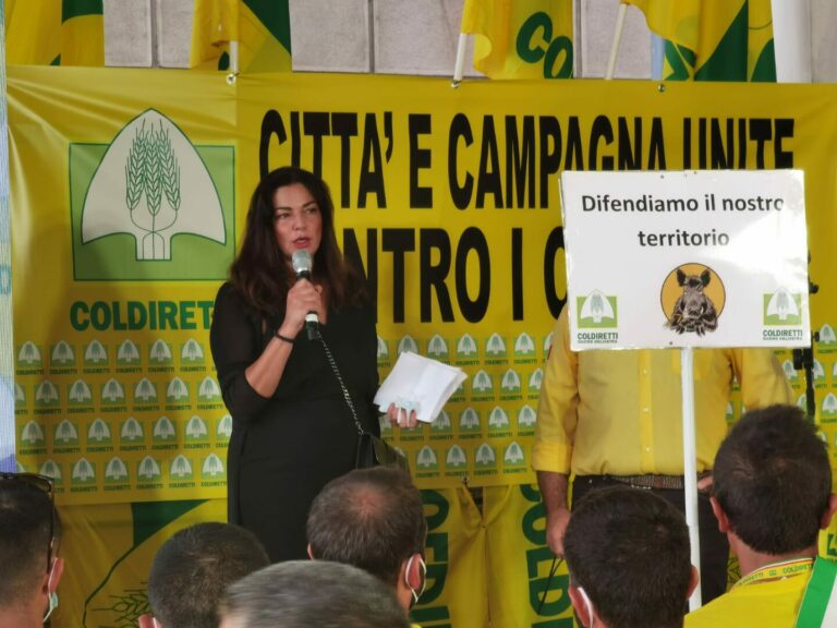 Cinghiali, Murgia “Regione Sardegna sostiene campagna Coldiretti”