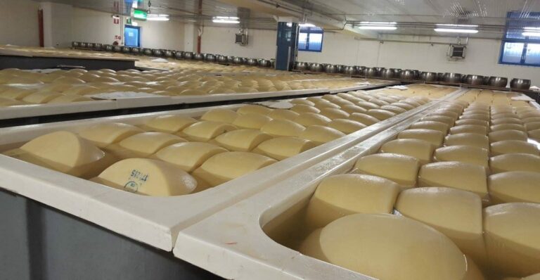 Export, volano i formaggi italiani nel mondo