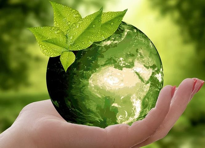 Unibo e Ieg, per transizione ecologica nasce scuola di alta formazione