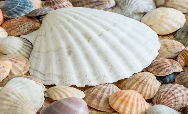 ADM e Regione Sardegna, al via campagna sensibilizzazione ambiente