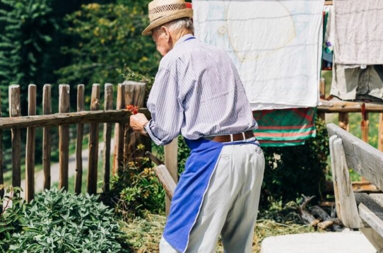 Al via sesta edizione “Coltiviamo Agricoltura Sociale”