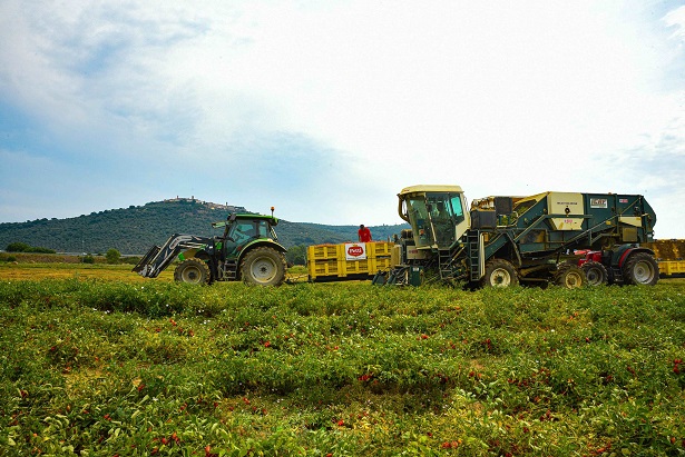 Emilia Romagna, al via fondo per imprese montane con primi 2,5 mln