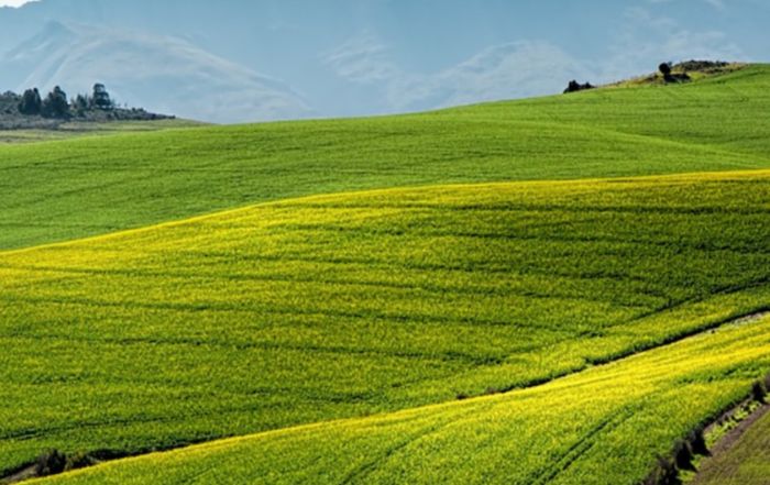 Agroalimentare in Calabria, pubblicata graduatoria bando meccanizzazione