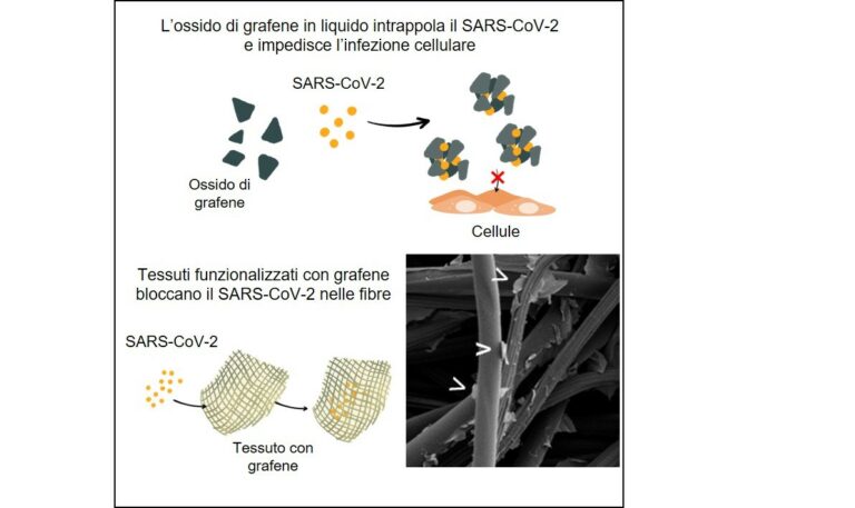 Studio Cattolica, mascherine in grafene per eliminare il Coronavirus