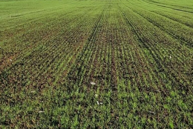 Crea report, on line risultati della ricerca 2020