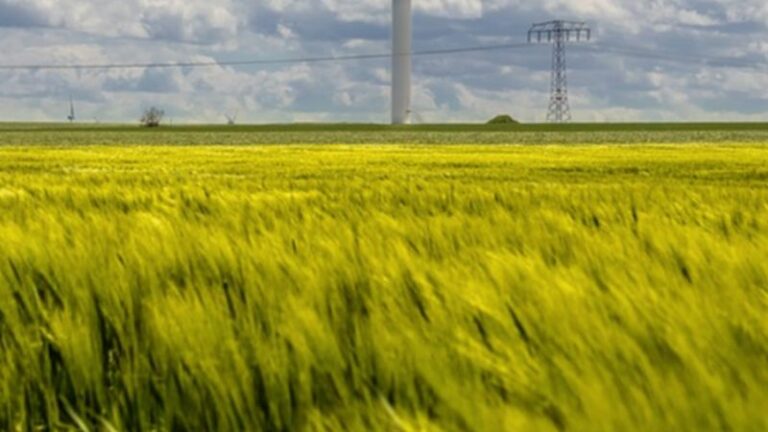 “Spighe Verdi” a 59 comuni virtuosi, in testa Piemonte