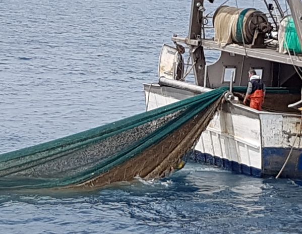 Contributi pesca Toscana, velocizzata procedura graduatorie gruppi Flag