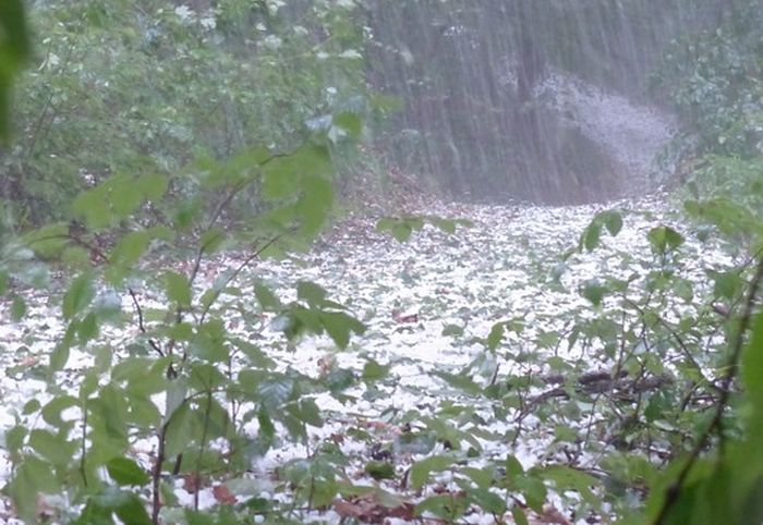 Agricoltura, dalla Regione Piemonte 3 milioni per le reti antigrandine