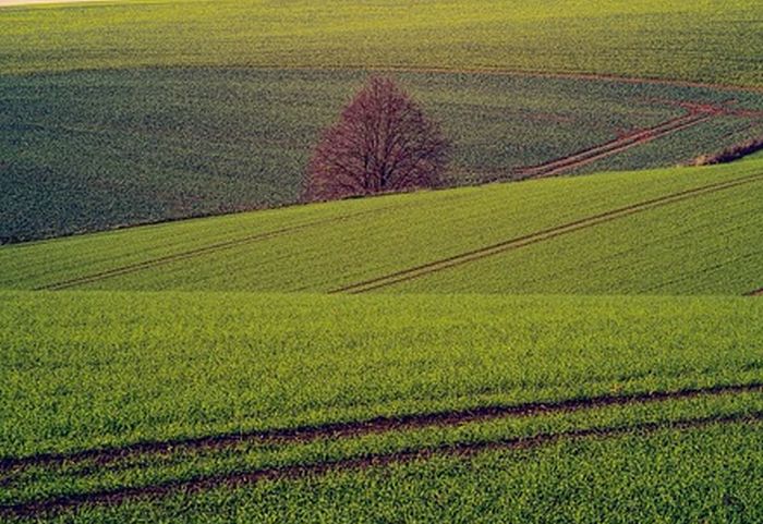 Zannier “Con 25 mln sosteniamo comparto agricolo in Friuli”