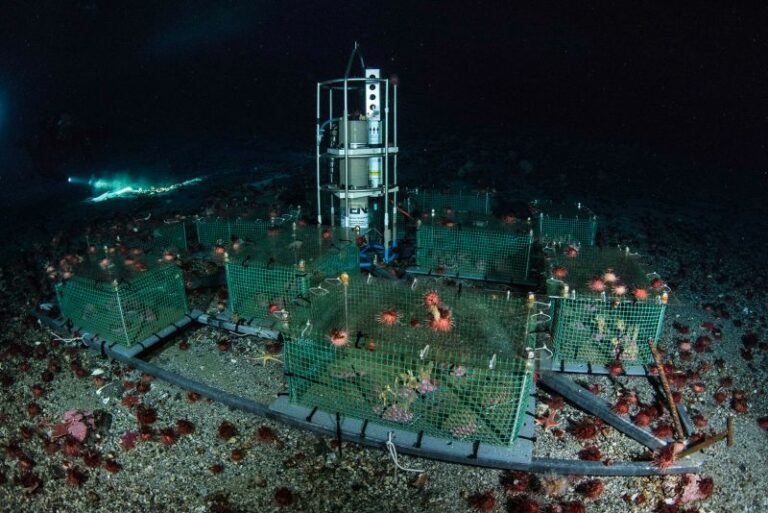 Clima: Antartide, primi dati dal laboratorio sottomarino Enea