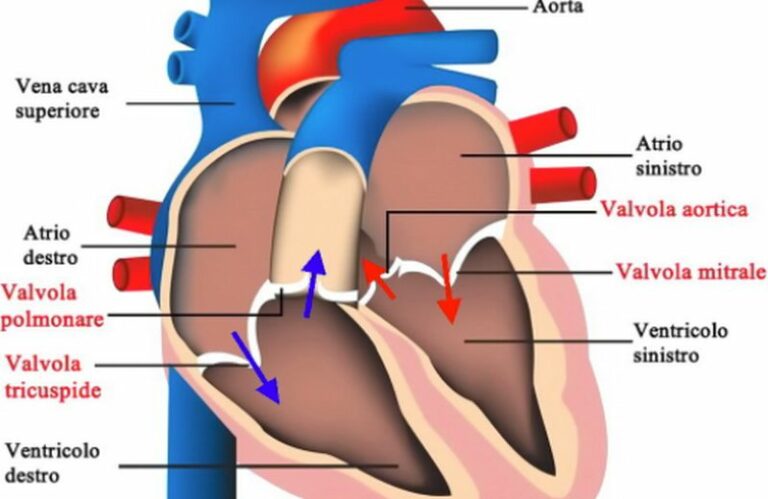 Insufficienza mitralica, italiano studio multicentrico più ampio