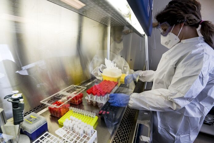 CAMPUS BIO MEDICO LABORATORIO TAMPONI COVID-19