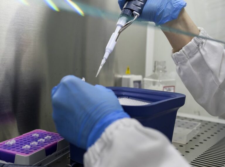 Tumori cerebrali, nuove speranze di cura per il medulloblastoma