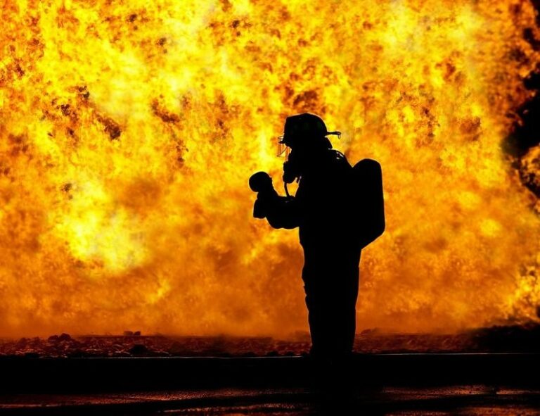 Incendi, Wwf “Terra piegata da crisi climatica e distruzione ecosistemi”