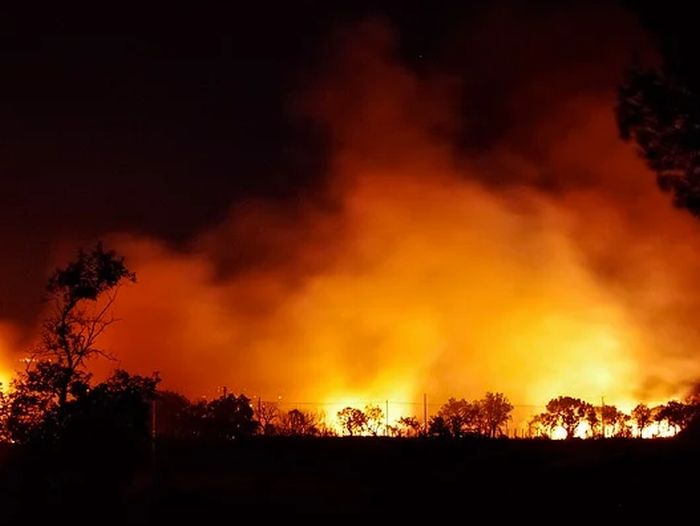 Incendi,comandante carabinieri forestali”Contro piromani con satelliti”