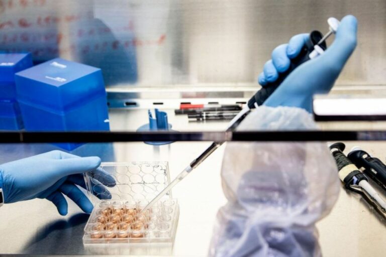 Tumore pancreas, nuova strategia di farmaci per ridurne la progressione