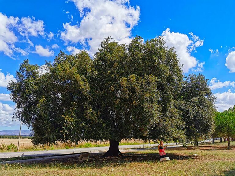 Puglia, Piemontese “2,3 mln per riqualificazione Torremaggiore”