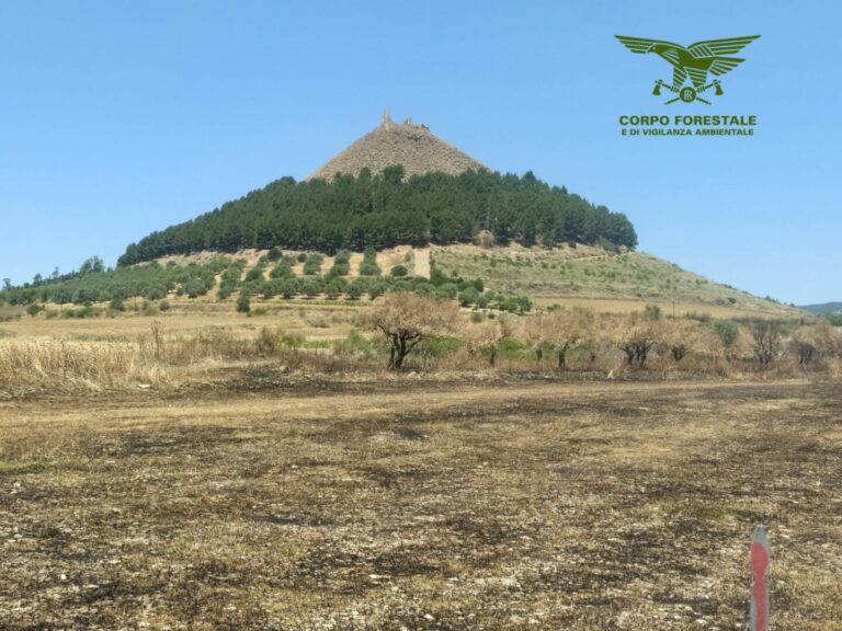 Incendi, Regione Sardegna stanzia 20 mln per interventi immediati