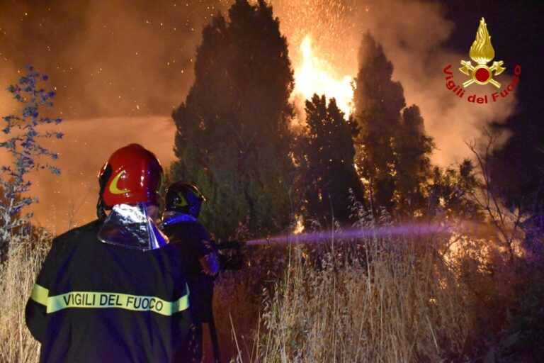 Incendi, Coldiretti Lombardia “Raccolta fondi per aziende Sud colpite”